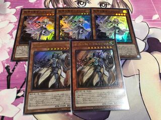 教導の聖女エクレシア+教導の騎士フルルドリスセット