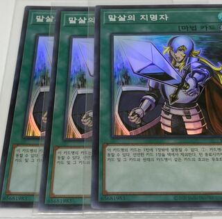 抹殺の指名者 SR 韓国語　3枚