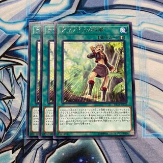 アマゾネスの叫声 R