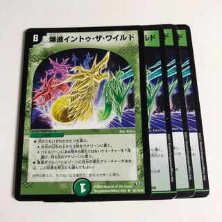 爆進イントゥ・ザ・ワイルド