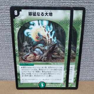 Fierce Earth R 12/55/Y6 with scratches [management sign b].