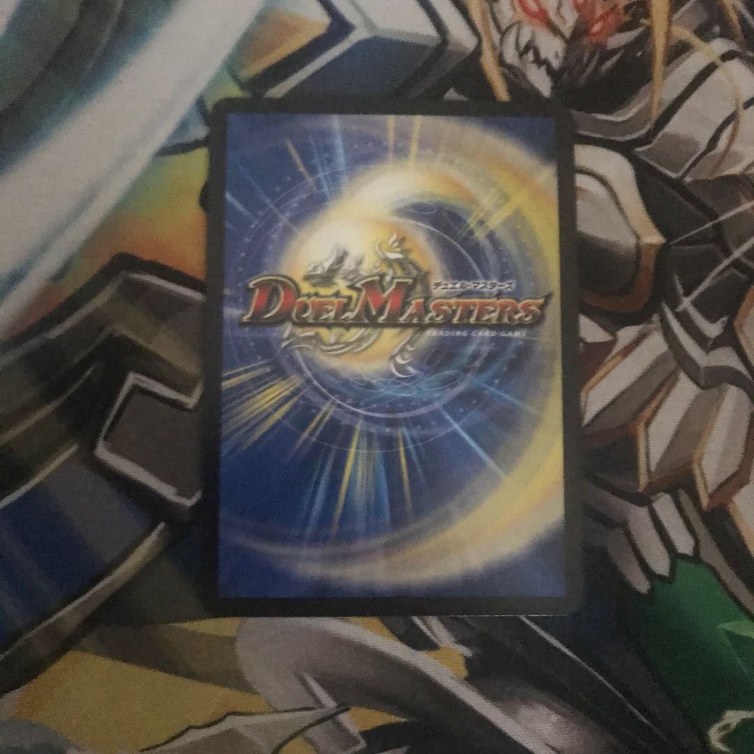 「絶対の楯騎士」