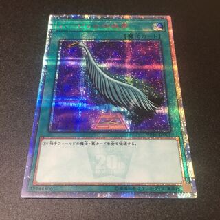 ハーピィの羽根帚 20thSE