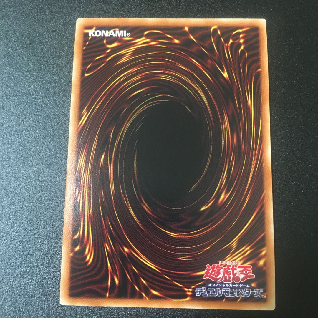 ハーピィの羽根帚 20thSE