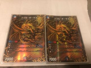 ニコルボーラス2枚セット