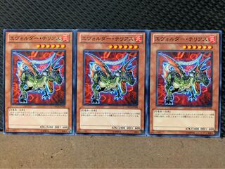 【ぽぽたん】遊戯王 7535 エヴォルダー・テリアス 3枚 ノーマル