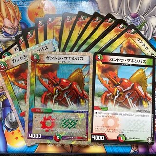 Gantra Crasher Wake Bus