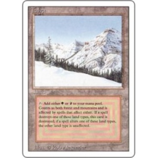 [NM-]Taiga《英語》【3ED】 1枚