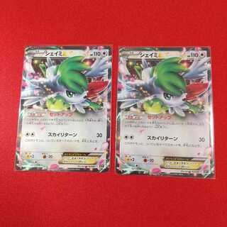 シェイミEX 2枚セット