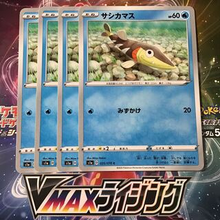 サシカマス　4枚