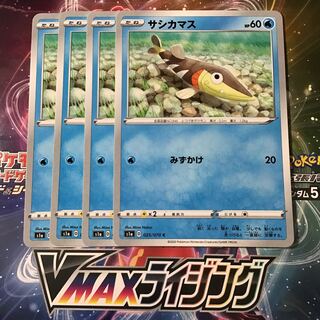 サシカマス　4枚