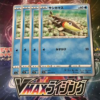 サシカマス　4枚