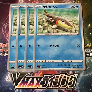 サシカマス　4枚