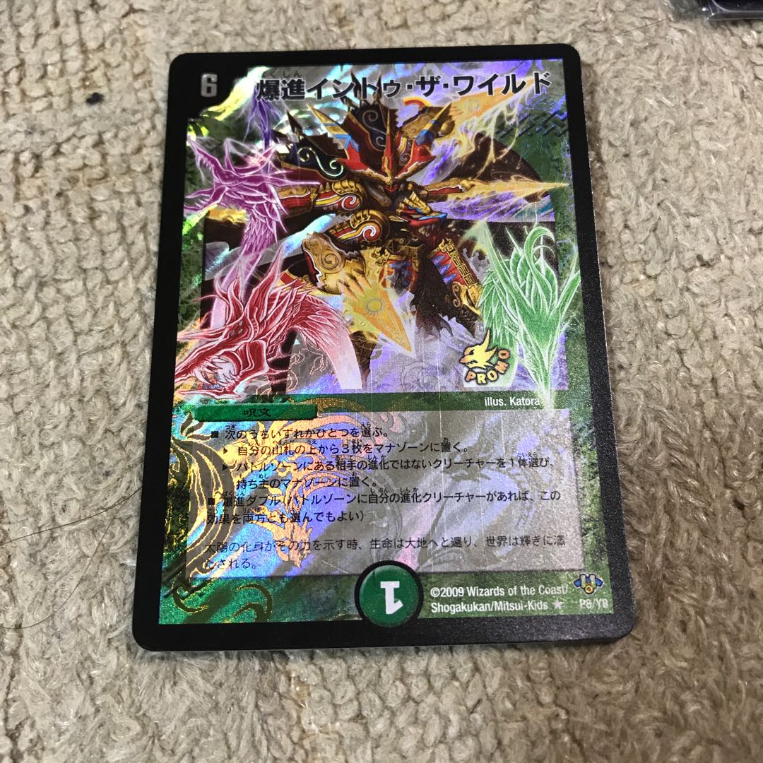 爆進イントゥ・ザ・ワイルド　プロモ　最安値