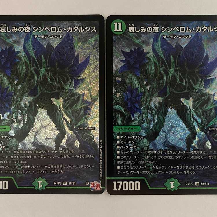 24RP3S9 哀しみの夜 シンベロム・カタルシス 2枚