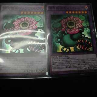 捕食植物キメラフレシア　2枚