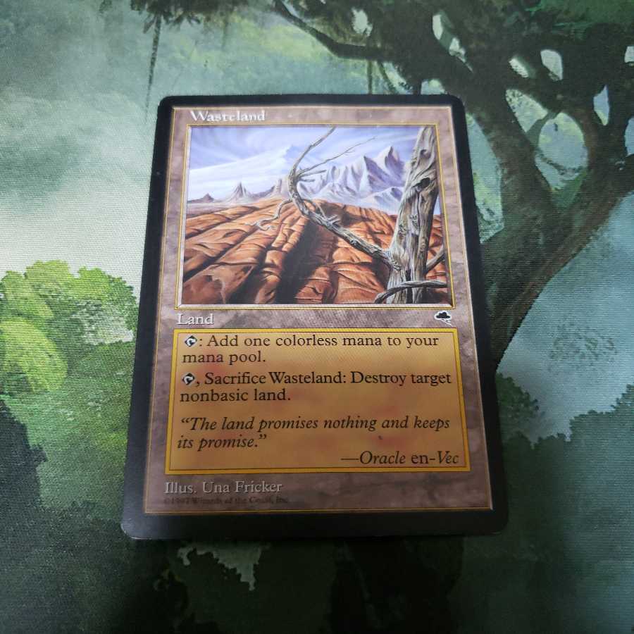 kafeeei様専用 不毛の大地【英語】【TMP】3枚セット