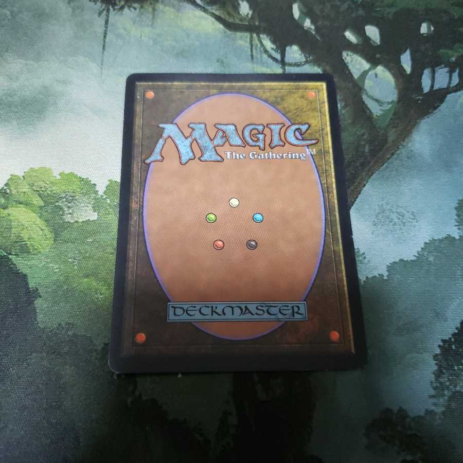 kafeeei様専用 不毛の大地【英語】【TMP】3枚セット