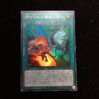 わに様専用 遊戯王 妨げられた壊獣の眠り インサイト