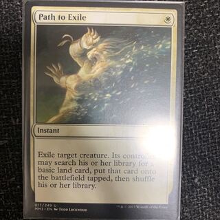 Many MTGs on display Path to Exile