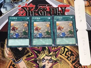 化石調査 ノーマル 3枚セット てら