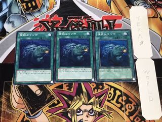 強欲なウツボ ノーマル 3枚セット てら