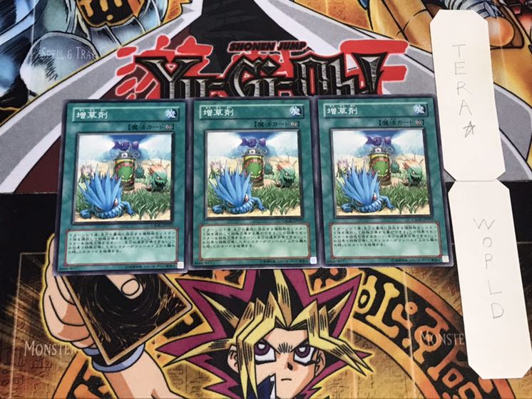 増草剤 ノーマル 3枚セット てら