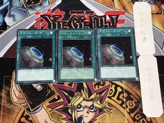 テラ・フォーミング ノーマル 3枚セット てら