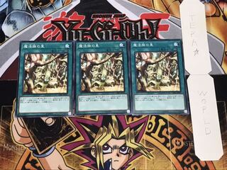 魔法族の里 ノーマル 3枚セット てら