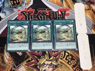 アロマガーデン ノーマル 3枚セット てら