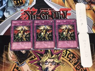 覇者の一括 ノーマル 3枚セット てら