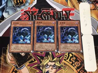 金華猫 ノーマル 3枚セット てら