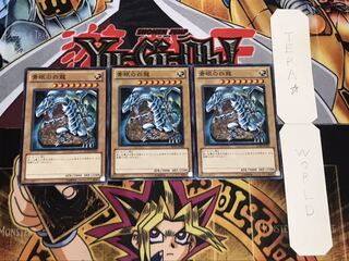 青眼の白龍 ノーマル 3枚セット てら