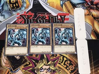 青眼の白龍 DP20 ノーマル 3枚セット てら