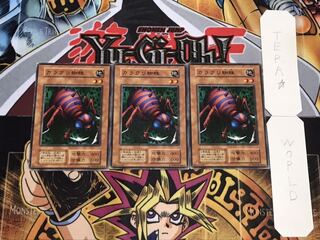 カラクリ蜘蛛 初期 ノーマル 3枚セット てら