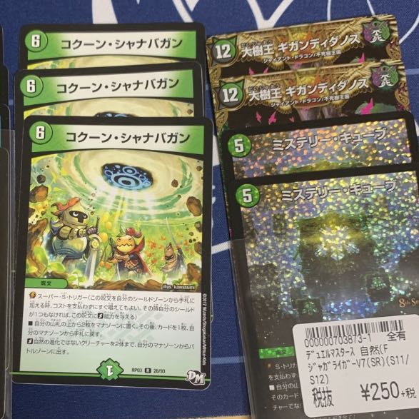 コクーン・シャナバガンセット