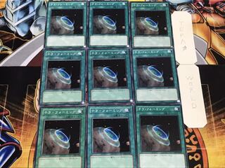 テラ・フォーミング ノーマル 9枚セット てら