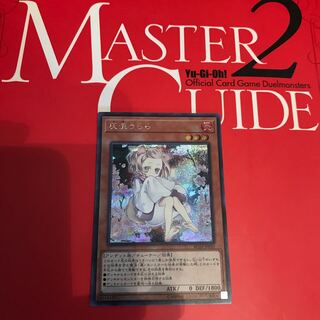 灰流うらら(海外版イラスト) SE