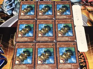 ファイバーポッド 2期ver ノーマル 9枚セット てら