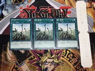 竜の霊廟 レア 3枚セット てら