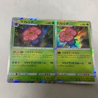 ラフレシアR2枚セット