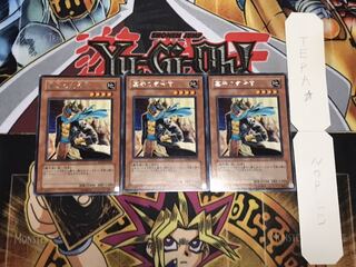 墓守の司令官 レア 3枚セット てら