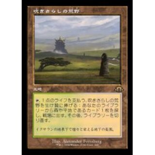 MTG 吹きさらしの荒野 日本語 旧枠 Foil