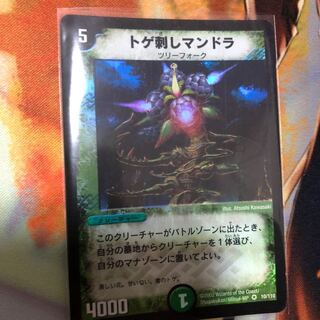 prickly mandala 1枚