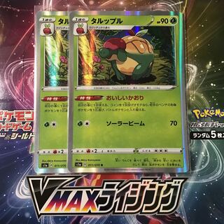 タルップル　2枚