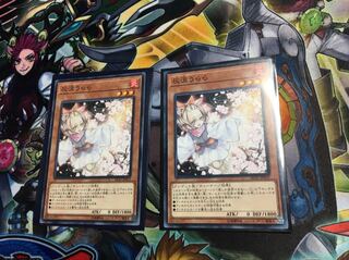 灰流うらら ノーマル 2枚