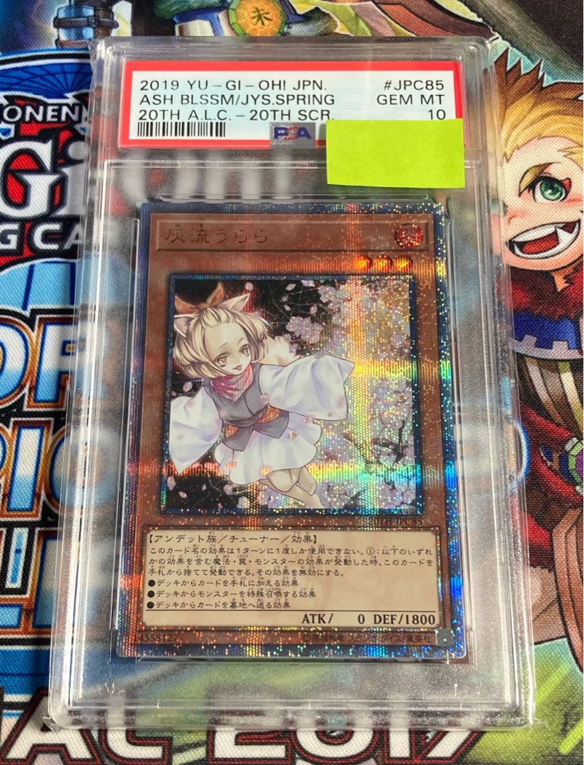 Ash Blossom & Joyous Spring 20th psa10