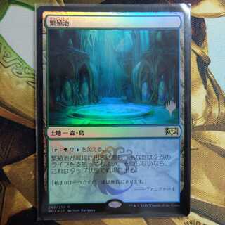 繁殖池　日本語　Foil　プロモパック版