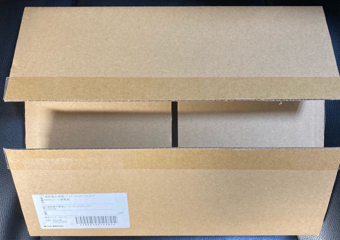 真紅眼の黒竜　プリズマティック　未開封