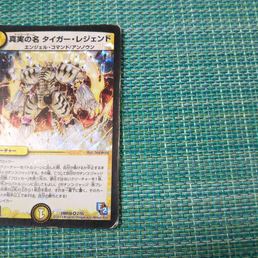 真実の名 タイガー・レジェンド